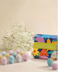 Boîte d'œufs dragéifiés en chocolat